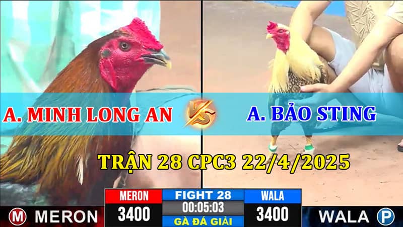 Trận 28 CPC3 22/4/2025 Minh Long An và Bảo Sting