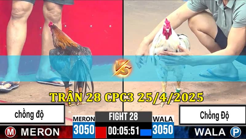 Trận 28 CPC3 25/4/2025