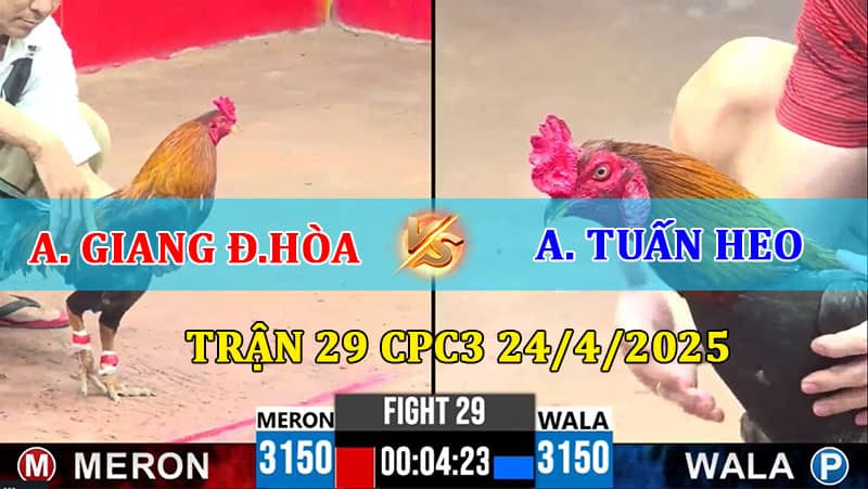 Trận 29 CPC3 24/4/2025