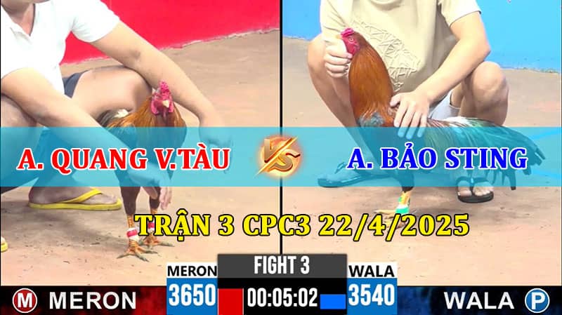 Trận 3 CPC3 22/4/2025 Quang Vũng Tàu và Bảo Sting