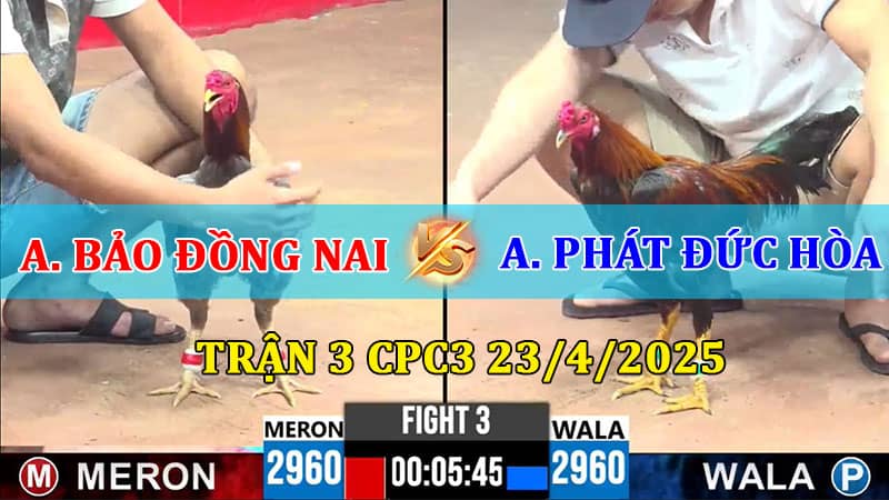 Trận 3 CPC3 23/4/2025