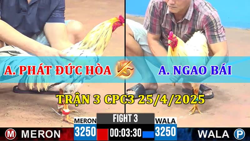 Trận 3 CPC3 25/4/2025