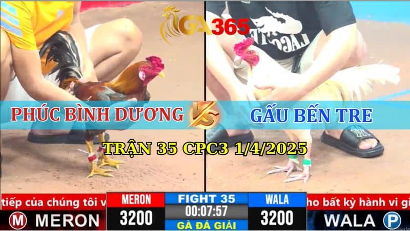 Trận 35 CPC3 1/4/2025