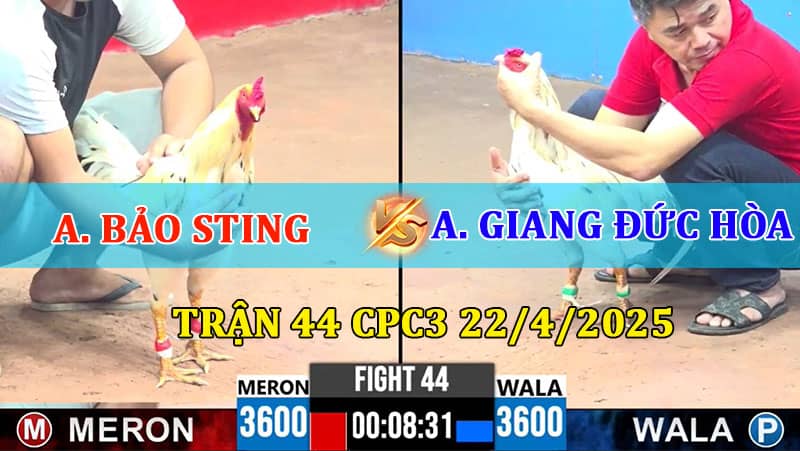 Trận 44 CPC3 22/4/2025 giữa Bảo Sting và Giang Đức Hòa