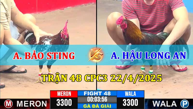 Trận 48 CPC3 22/4/2025 Bảo Sting Vs Hậu Long An