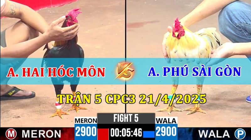 Trận 5 CPC3 21/4/2025