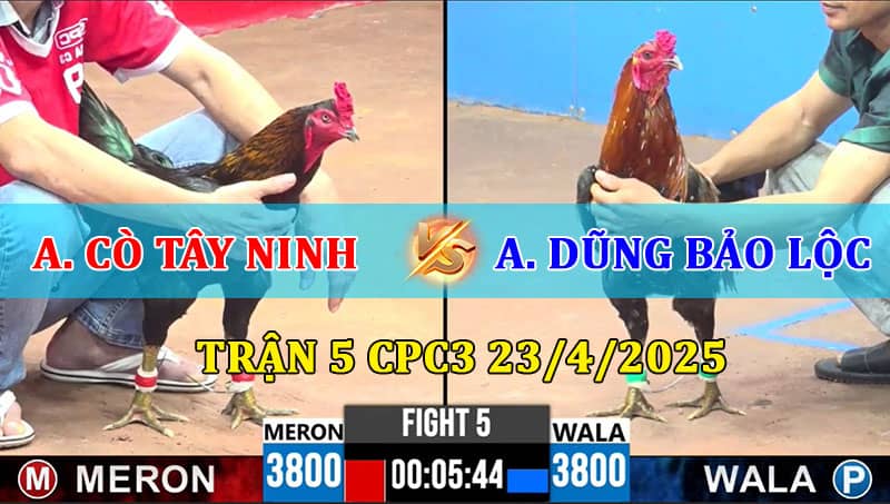 Trận 5 CPC3 23/4/2025
