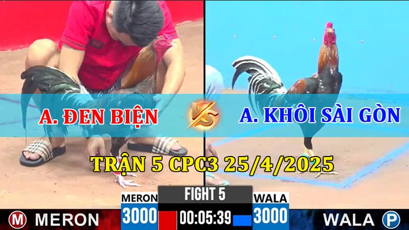 Trận 5 CPC3 25/4/2025