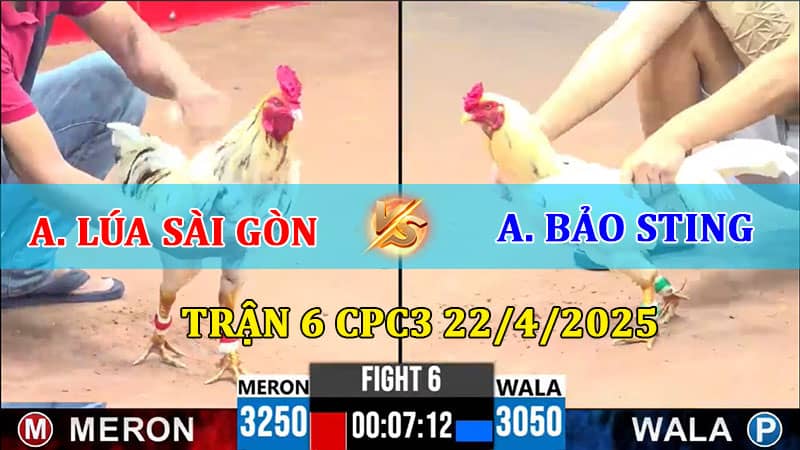 Trận 6 CPC3 22/4/2025 giữa Lúa Sài Gòn và Bảo Sting