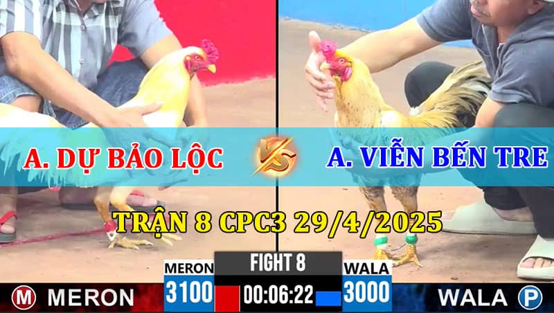 Trận 8 CPC3 29/4/2025