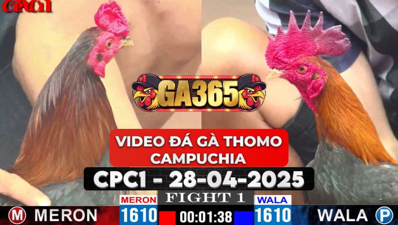 Video Đá Gà Thomo Campuchia Tại CPC1 Ngày 28/4/2025