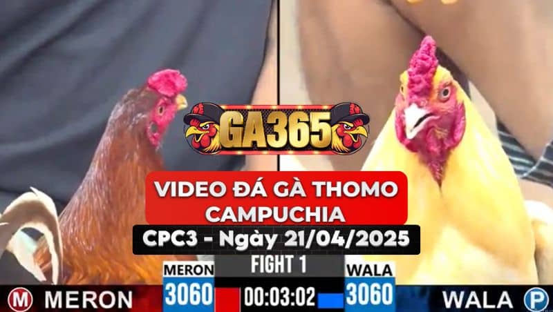 Video Đá Gà Thomo Campuchia Tại CPC3 Ngày 21/4/2025