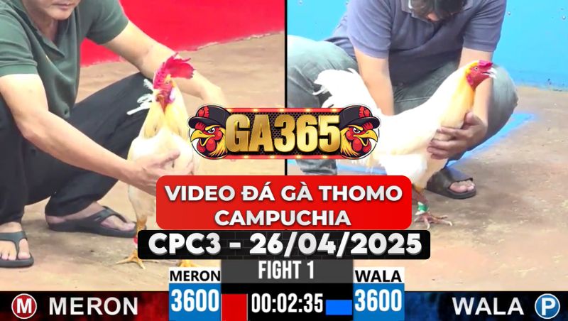 Video Đá Gà Thomo Campuchia Tại CPC3 Ngày 26/4/2025