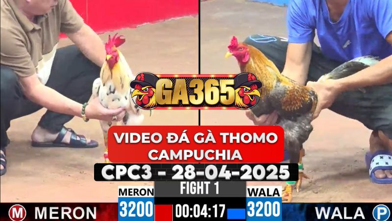 Video Đá Gà Thomo Campuchia Tại CPC3 Ngày 28/4/2025