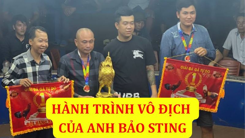 Hành Trình Anh Bảo Sting Vô Địch Giải C2 Ngày 4/5/2025