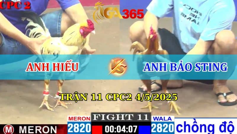 TRẬN 11 CPC2 4/5/2025