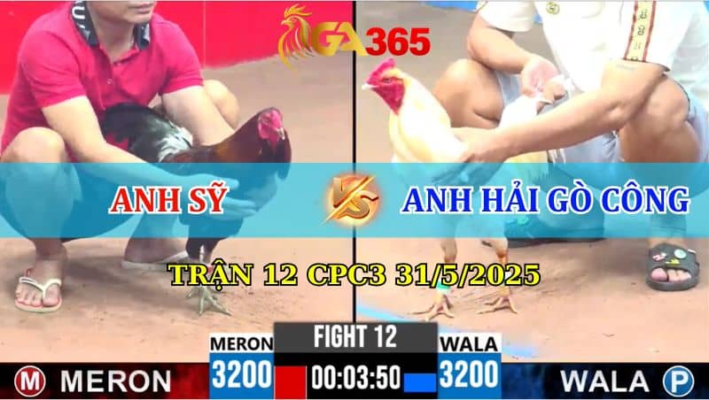 TRẬN 12 CPC3 31/5/2025