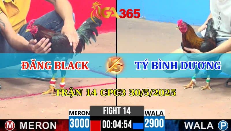 TRẬN 14 CPC3 30/05/2025