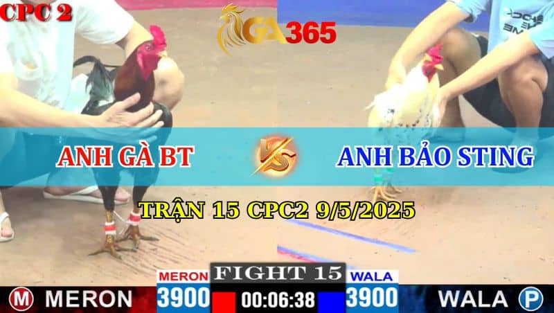 TRẬN 15 CPC2 9/5/2025