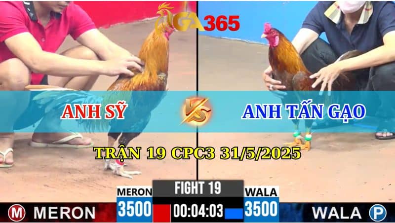 TRẬN 19 CPC3 31/5/2025