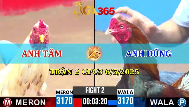 TRẬN 2 CPC3 6/5/2025