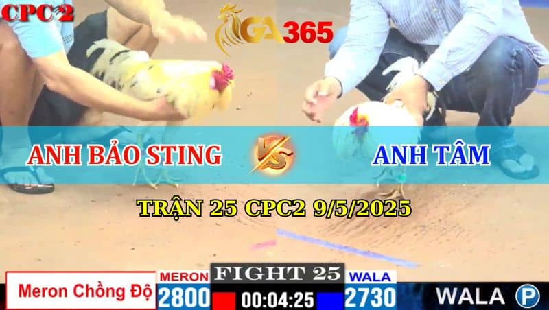 TRẬN 25 CPC2 9/5/2025