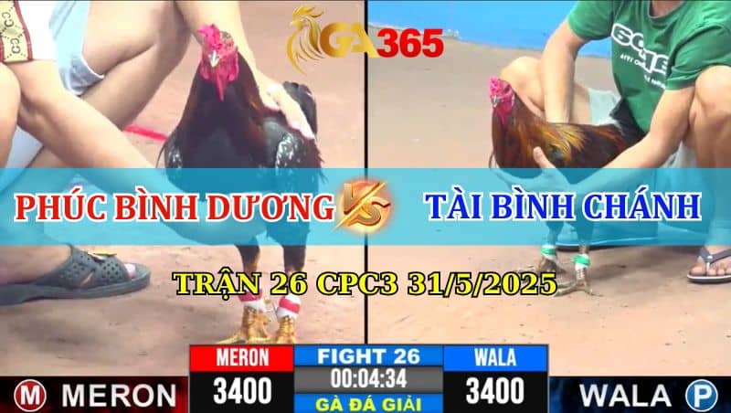 Trận 26 CPC3 Ngày 31/5/2025