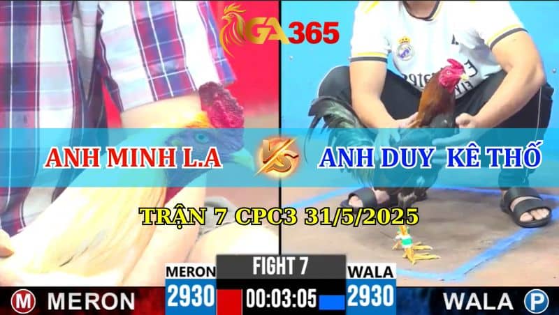 TRẬN 7 CPC3 31/5/2025