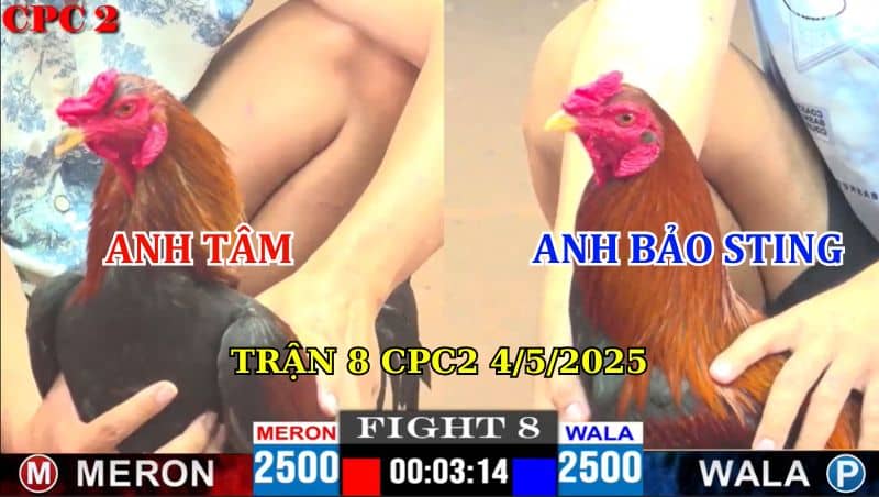 TRẬN 8 CPC2 4/5/2025