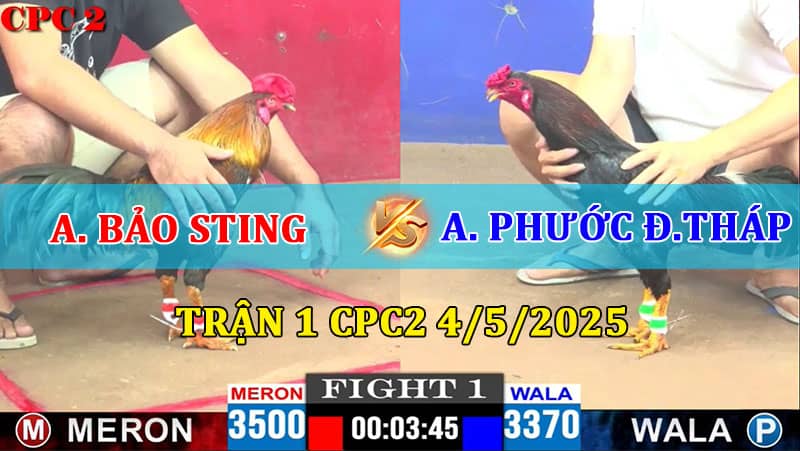 Trận 1 CPC2 4/5/2025