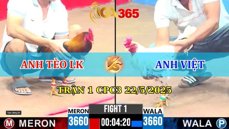 Trận 1 CPC3 22/5/2025