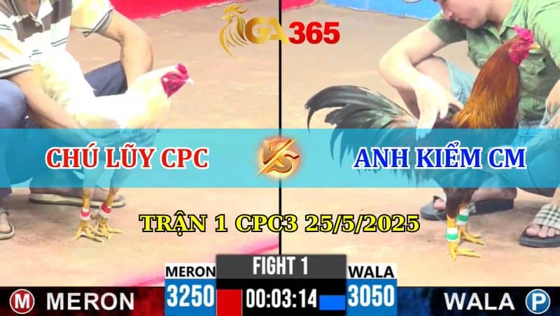 Trận 1 CPC3 25/05/2025