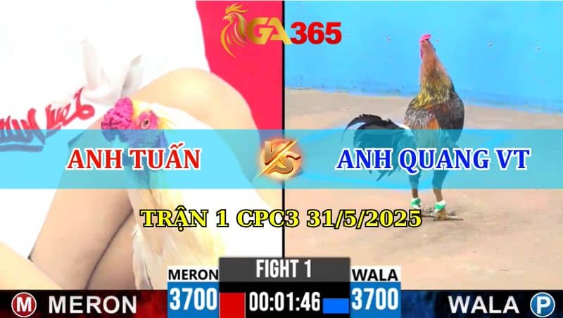 Trận 1 CPC3 31/05/2025