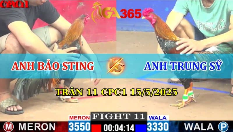 Trận 11 CPC1 15/5/2025