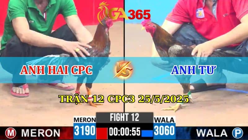 Trận 12 CPC3 25/05/2025