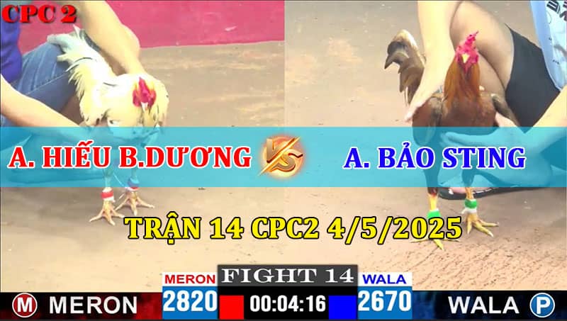 Trận 14 CPC2 4/5/2025