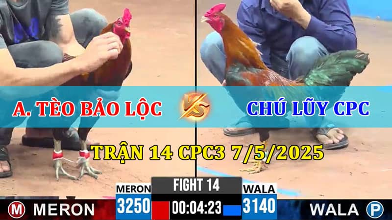 Trận 14 CPC3 7/5/2025
