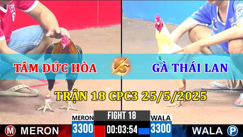 Trận 18 CPC3 25/5/2025