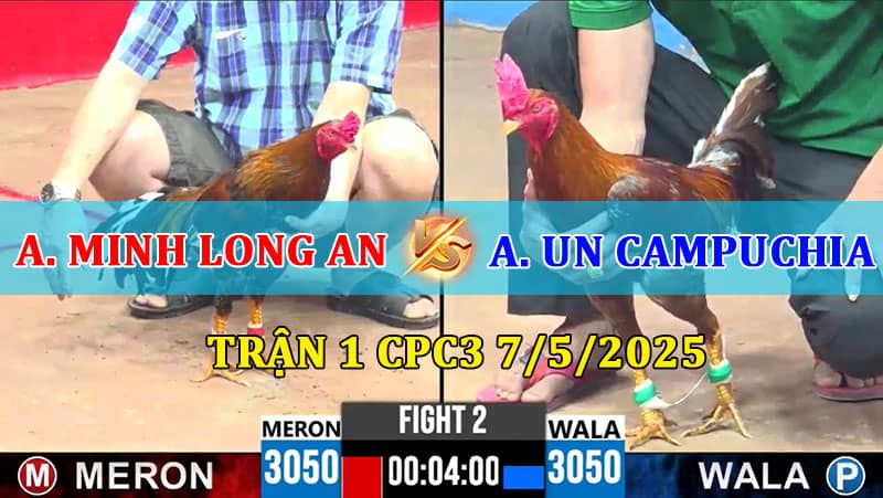 Trận 2 CPC3 7/5/2025
