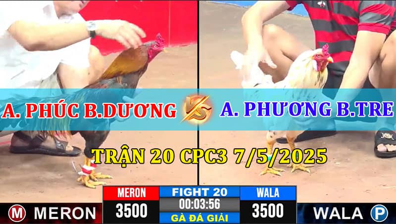 Trận 20 CPC3 7/5/2025