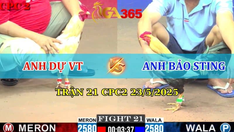 Trận 21 CPC2 23/5/2025