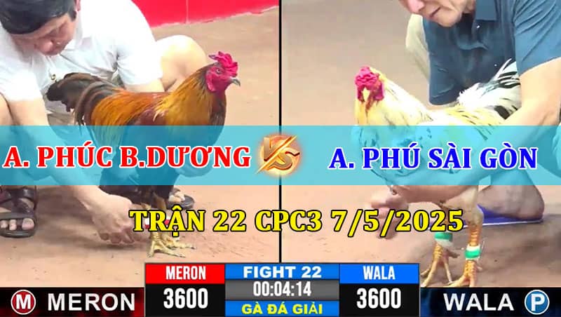Trận 22 CPC3 7/5/2025