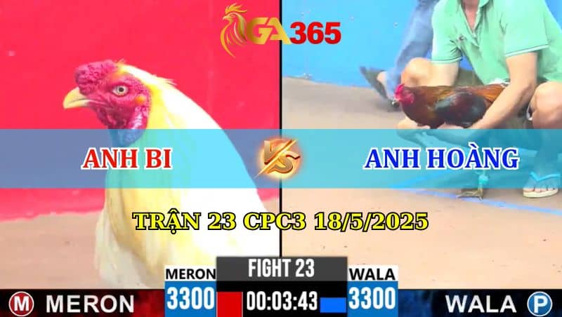 Trận 23 CPC3 18/5/2025