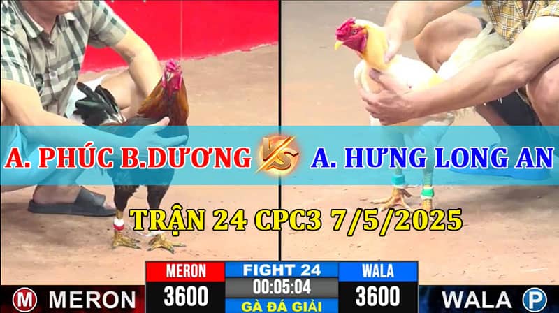 Trận 24 CPC3 7/5/2025