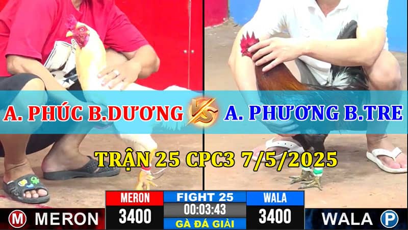 Trận 25 CPC3 7/5/2025
