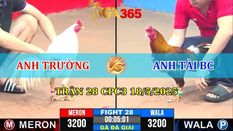 Trận 28 CPC3 18/5/2025