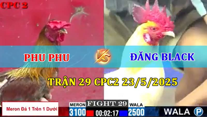 Trận 29 CPC2 23/5/2025