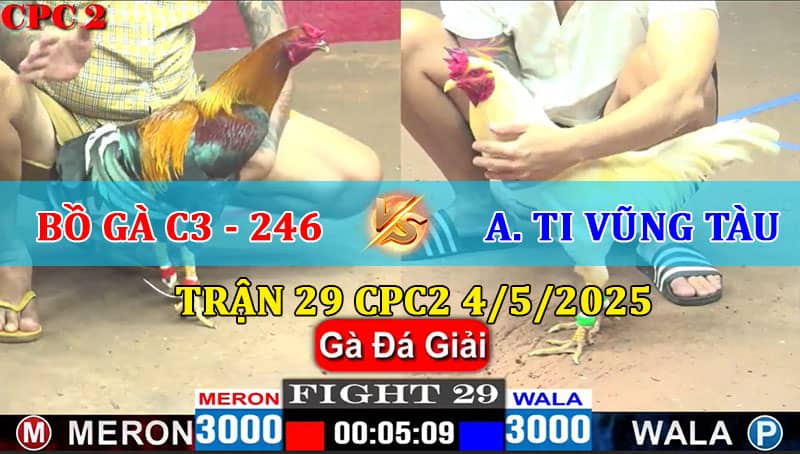 Trận 29 CPC2 4/5/2025