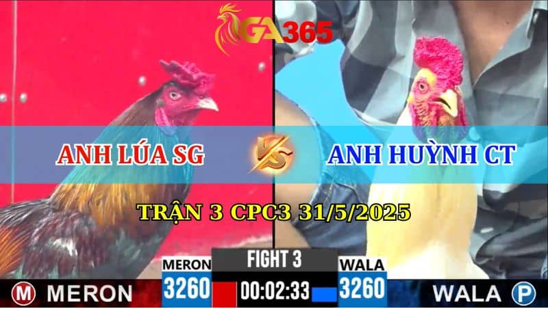 Trận 3 CPC3 31/05/2025