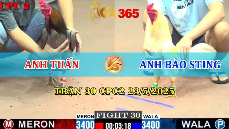 Trận 30 CPC2 23/5/2025